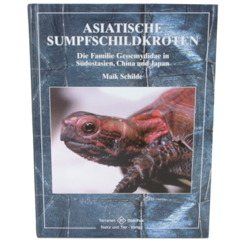 Asiatische Sumpfschildkröten